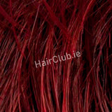 Cat | Hair Power