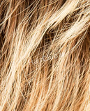 FAIR | Hair Power